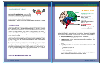 Quantum Wealth Theory (Book Only)